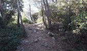 Trail Walking Cuers - Le Castellas Cuers - Photo 2