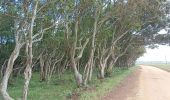 Tour Wandern Unknown - Sagres cap St VINCENT Carrapateria - Photo 13