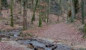 Tour Wandern Waldbillig - mullerthal - Photo 12