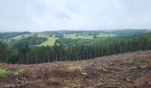 Trail Walking Vielsalm - Vielsalm 270625 - Photo 10
