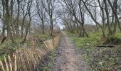 Trail Walking Blankenberge - Blankenberge 11 km - Photo 2