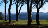 Tour Wandern La Garde-Freinet - La Garde Freinet - ND de Miremer - Photo 1