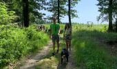 Trail Walking Martelange - Club canin chestrolais juin 2019 - Photo 8