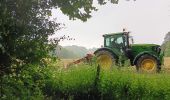 Tour Wandern Esneux - esneux . ham . roche aux faucons par les petits chemins  - Photo 11