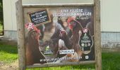 Trail Walking Montigny-lès-Condé - Montigny les Conde - Photo 1