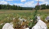 Randonnée Marche Bellefontaine - Le point de vue de la roche devant - Photo 2