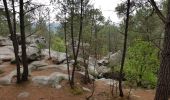 Tour Wandern Noisy-sur-École - Sentier des 25 bosses (1ère moitié) - Photo 9