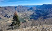 Excursión Senderismo Séderon - Du Sommet du Négron au Sommet de Larran - Photo 4