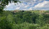 Tour Wandern Porte des Pierres Dorées - Jarnioux / 8 km - Photo 4