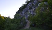 Trail On foot Felsőtárkány - Vár-hegyi tanösvény - Photo 4