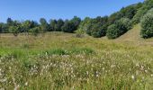 Tocht Stappen Storckensohn - 2022-07-16 Marche Auberge Gazon Vert Chapelle des Ves - Photo 5