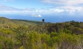 Tour Wandern Saint-Denis - Piton BDN -Mamode Camp par le gîte de Roche Ecrite - Photo 5