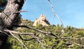 Tour Wandern Ollioules - Oppidum de la Courtine- Château Vallon-15-10-23 - Photo 3