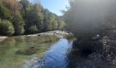 Randonnée Marche Soyans - Soyans- Rochecolombe 15 km - Photo 11