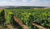 Randonnée Marche Montgueux - Mongueux: Boucle en Champagne - Photo 1