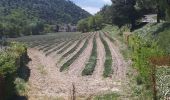 Trail Walking Gordes - cordes col des 3 thermes abbaye de senanque les bories - Photo 5