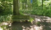 Tocht Stappen Fontaine-l'Évêque - Balade en forêt Domanial de Leernes  - Photo 10