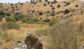 Trail On foot Galil Elyon Regional Council - שביל נחל עכברה - Photo 9