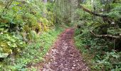 Randonnée Marche Septmoncel les Molunes - mo sentier des lapidaires - Photo 18