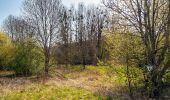 Percorso A piedi Blieskastel - Hasen-Rundwanderweg Blickweiler - Photo 2