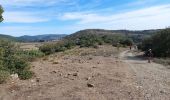 Tocht Stappen Minerve - Les dolmens de Vieulac - Photo 11