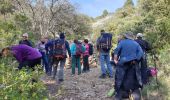 Tour Wandern Plan-d'Aups-Sainte-Baume - La Sainte Baume - Riboux - La Cabre - Photo 3