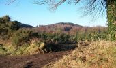 Randonnée A pied Inconnu - Castlewellan Forest Park - Moorish Tower Walk - Photo 4