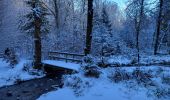 Randonnée Marche Tenneville - Laneuville aux bois 180124 - Photo 4