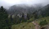 Tour Wandern Urbeis - Les deux lacs - Photo 10