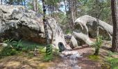 Tocht Stappen Fontainebleau - Fontainebleau sentier Denecourt 7-8 8-8 - Photo 8