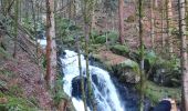 Trail Walking Rochesson - cascade de Battion  - Photo 6