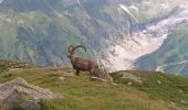 Trail Walking Vallorcine - MASSIF DES AIGUILLES ROUGES: LE LAC BLANC DEPUIS LE COL DES MONTETS - Photo 20