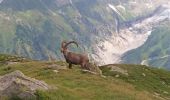 Randonnée Marche Vallorcine - MASSIF DES AIGUILLES ROUGES: LE LAC BLANC DEPUIS LE COL DES MONTETS - Photo 20