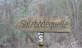 Tocht Te voet Bad Endbach - Wanderweg E5 / Quellweg - Photo 4