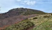 Trail Walking Murat-le-Quaire - coux-dordogne-puygros-tenon-banne-coux - Photo 20