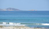 Randonnée Marche Palasca - PF-Corse 27-05 - Plage d'Ostriconi - Désert des Agriates - Photo 15