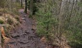 Tour Wandern Weismes - ROBERTVILLE ... par le Château de REINHARDSTEIN.  - Photo 6