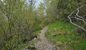 Tocht Stappen Foncine-le-Bas - Autour de la cascade du Bief de la Ruine 🥾 - Photo 12