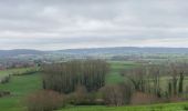 Randonnée Marche Frasnes-lez-Anvaing - Saint Sauveur 19,5 km - Photo 10