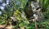 Trail Walking Paliseul - jelly avec marraine tonton  - Photo 10