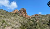 Excursión Senderismo Saint-Raphaël - col de la Cadière depuis le Belle-Barbe  - Photo 10