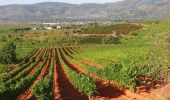 Tour Wandern Cacabelos - CC_Frances_DC_25_Cacabelos_Vega-Valcarce_20120822 - Photo 6