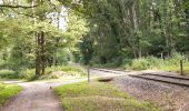 Trail Walking Guewenheim - Circuit de la Doller  - Photo 4