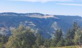 Randonnée Marche Lans-en-Vercors - le moucherotte  - Photo 4