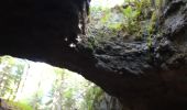 Trail Walking Saint-Martin-en-Vercors - grotte de la cheminée  - Photo 4