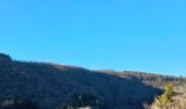 Trail Horseback riding Bouillon - rando équestre 9 partie 2 - Photo 3