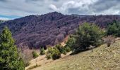 Trail Walking Furmeyer - Le Fays via Furmeyer - Photo 9