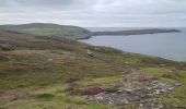 Trail Walking West Cork - Dursey Sound - Allihies beach - Photo 5