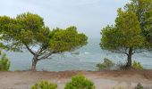 Excursión Senderismo Leucate - leucate - la franqui (via le plateau) - phare (via la falaise) - leucate (via le plateau) - Photo 10