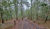 Tour Wandern Condé-sur-l'Escaut - Boucle par la Grande Redoute - Photo 3